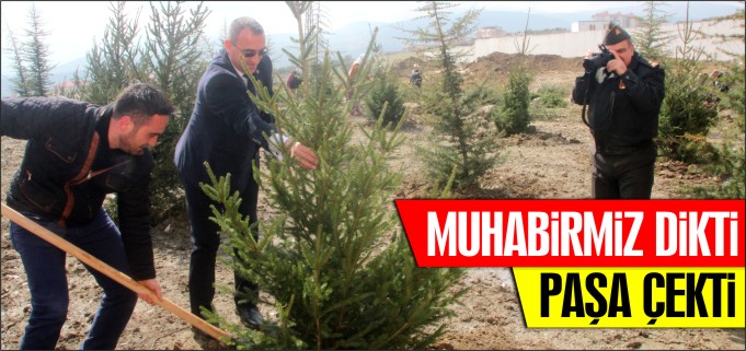 MUHABİRİMİZ DİKTİ, PAŞA ÇEKTİ