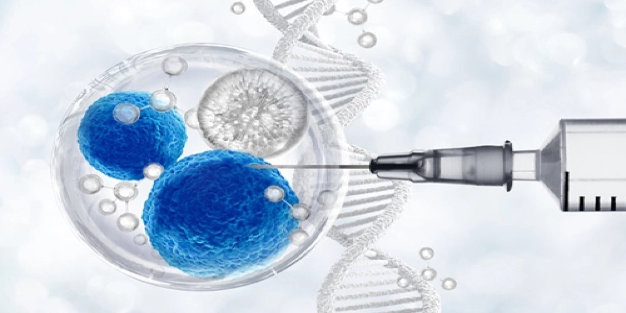 Kök Hücre Tedavisi: Eklem Sağlığından Doku Onarımına Kadar Merak Ettikleriniz