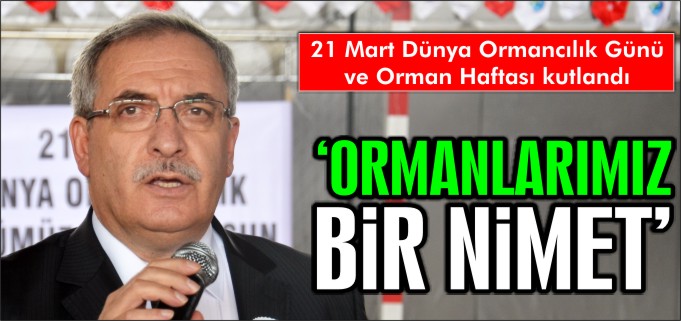 "ORMANLARIMIZ BİR NİMET"
