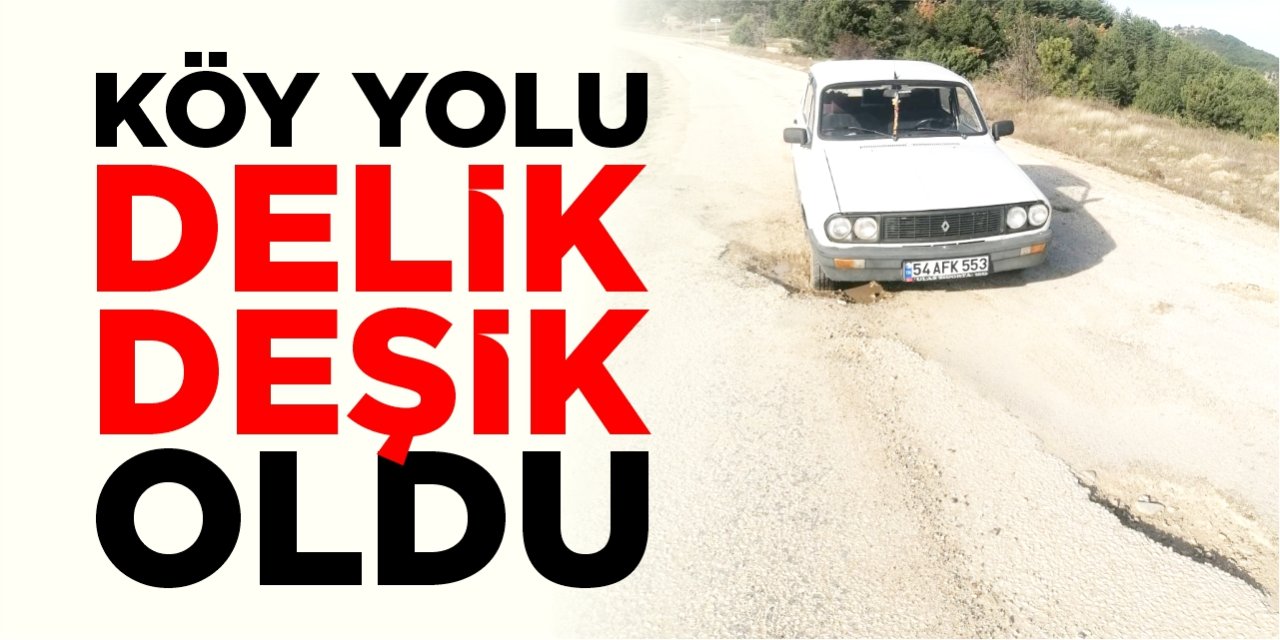 Köy yolu delik deşik oldu!