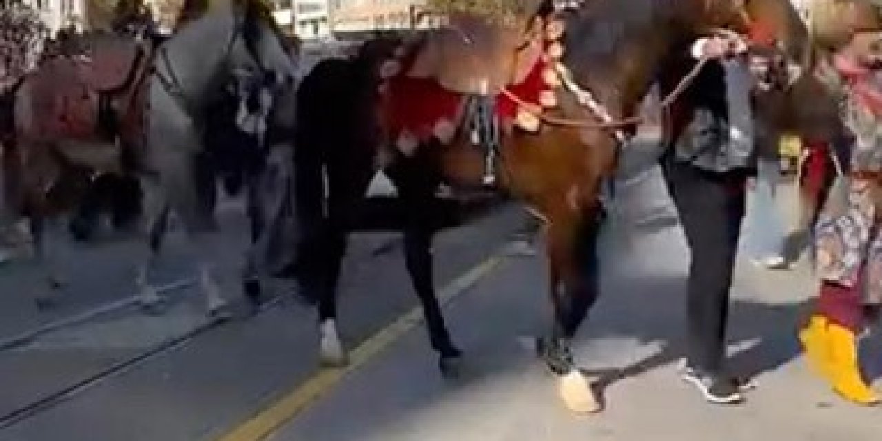 Şehir Merkezinde Gezdirilen Atlar Vatandaşları Meraklandırdı