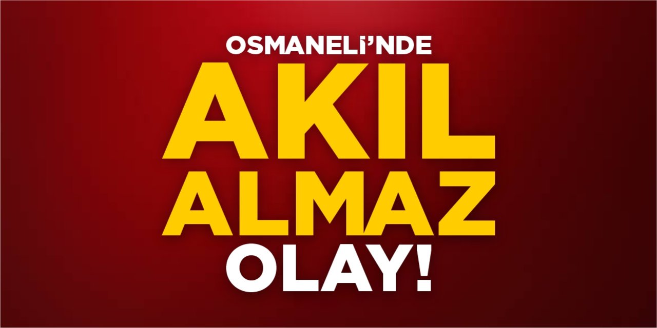 Osmaneli'nde akıl almaz olay!