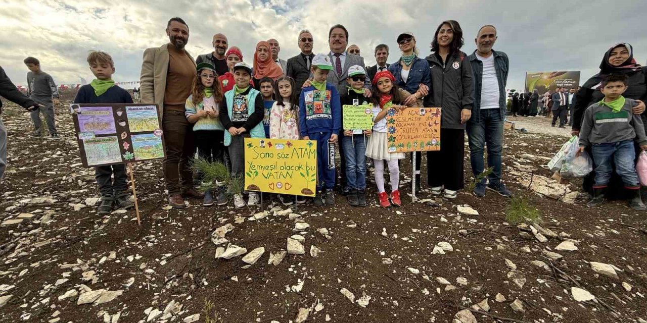 Fidanlar Yanan Ormanlık Alanda Toprakla Buluştu