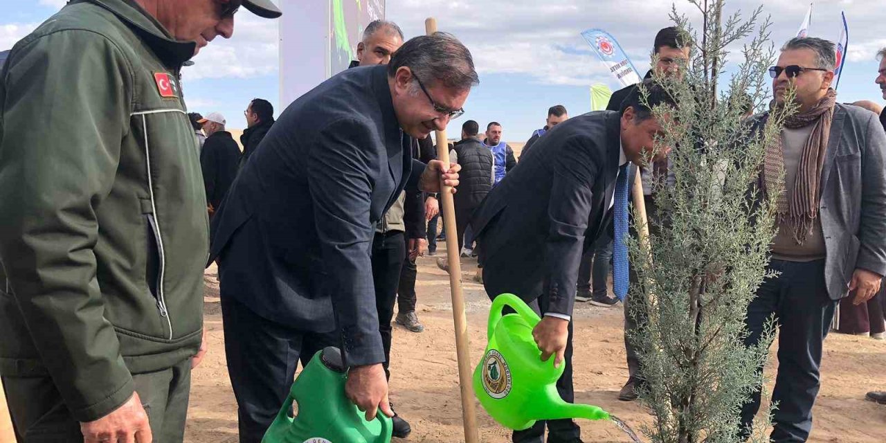 Milli Ağaçlandırma Günü’nde 20 Bin Fidan Dikildi