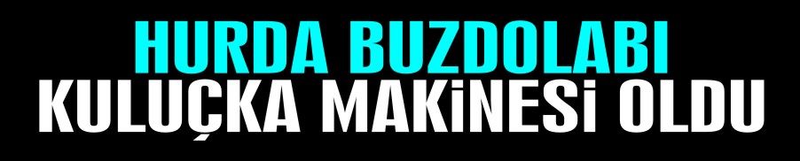 HURDA BUZDOLABI KULUÇKA MAKİNESİ OLDU