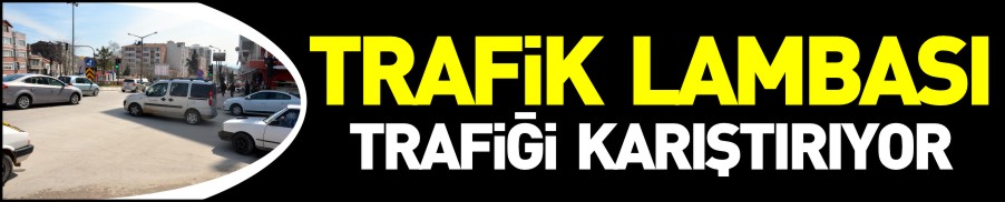 TRAFİK LAMBASI TRAFİĞİ KARIŞTIRIYOR!