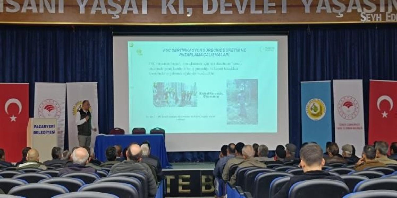 Pazaryeri'nde Ormanlar Sertifikalanıyor
