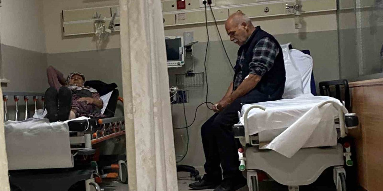 Ormandaki Mantarları Yiyen 7 Kişi Hastanelik Oldu