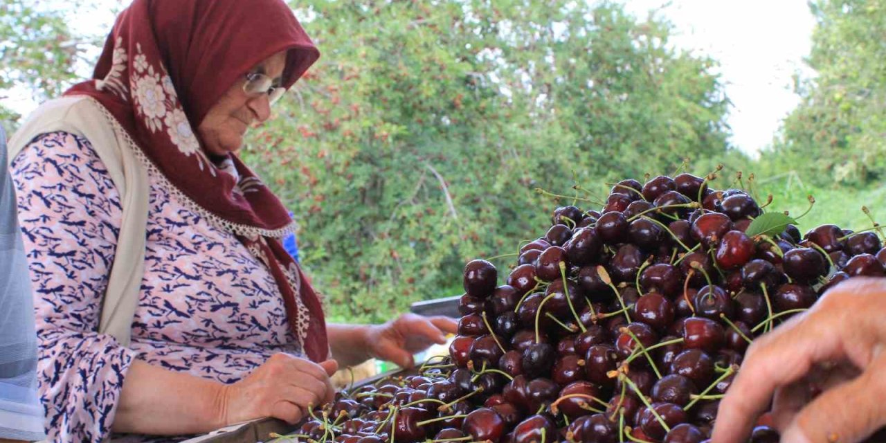 Dondurulmuş Kirazda Da Dünya Lideriyiz