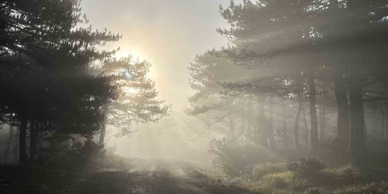 Zirvedeki Sis Manzarası Hayran Bıraktı