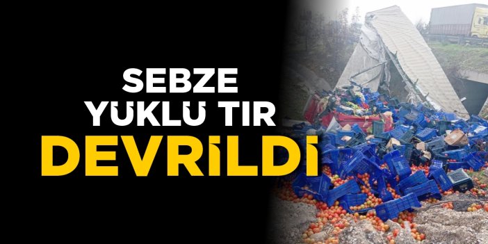 Sebze yüklü tır devrildi
