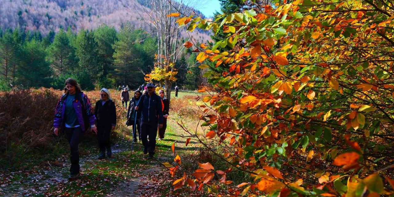 14 Kilometrelik Yürüyüş