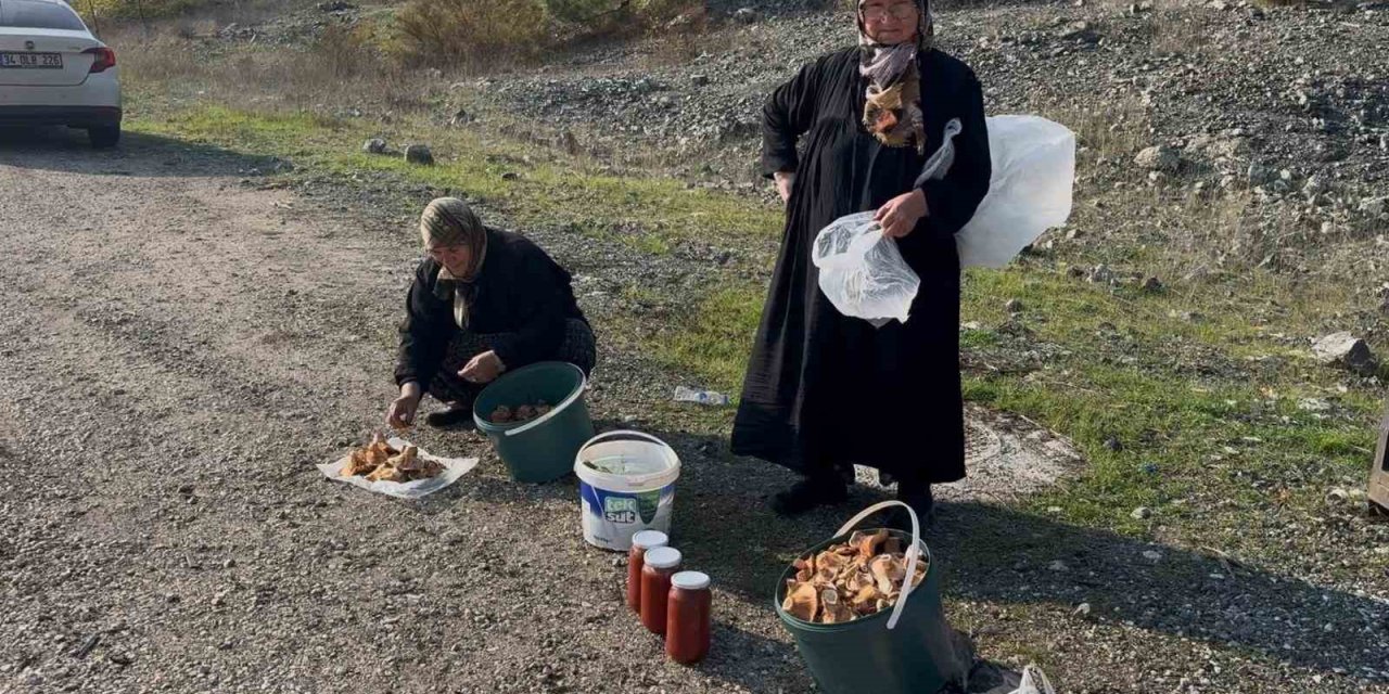 İki Yaşlı Kadın Gençlere Taş Çıkartıyor
