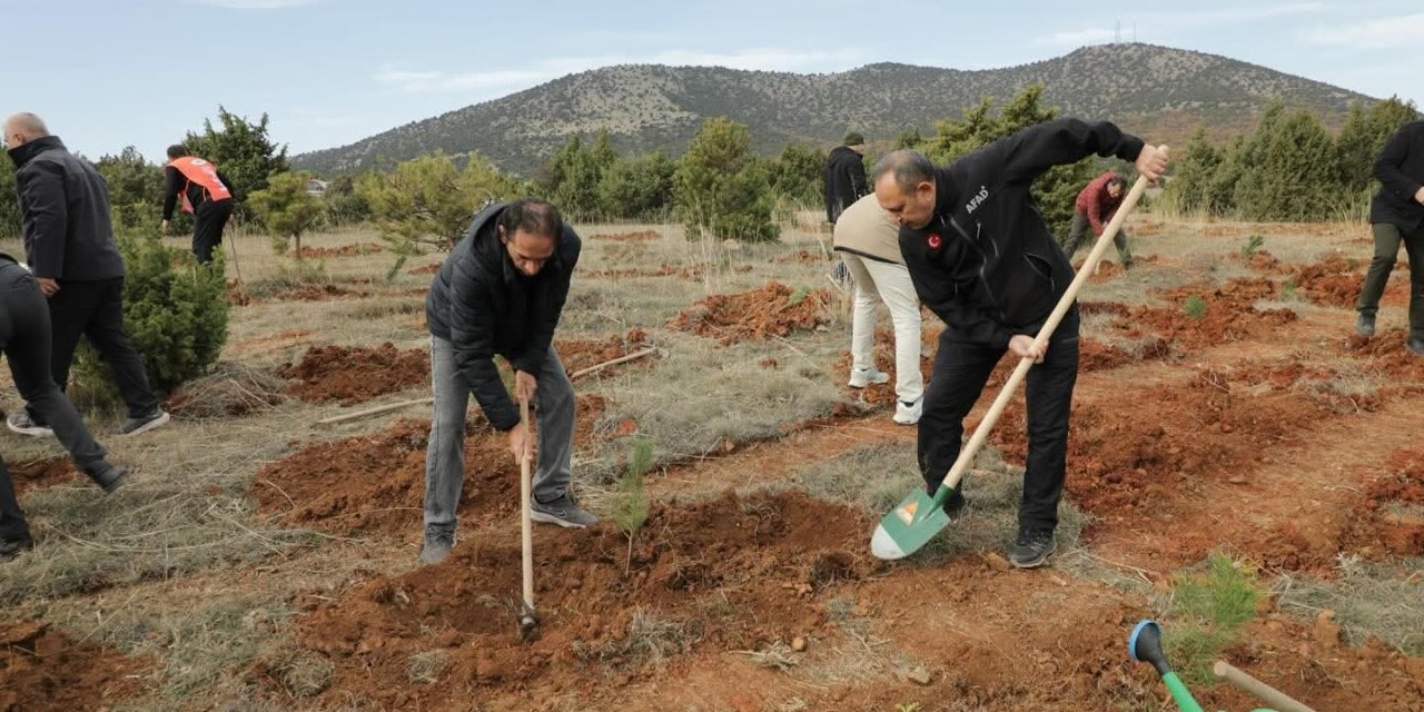 Hatıra Ormanına 2 Bin Fidan Dikildi