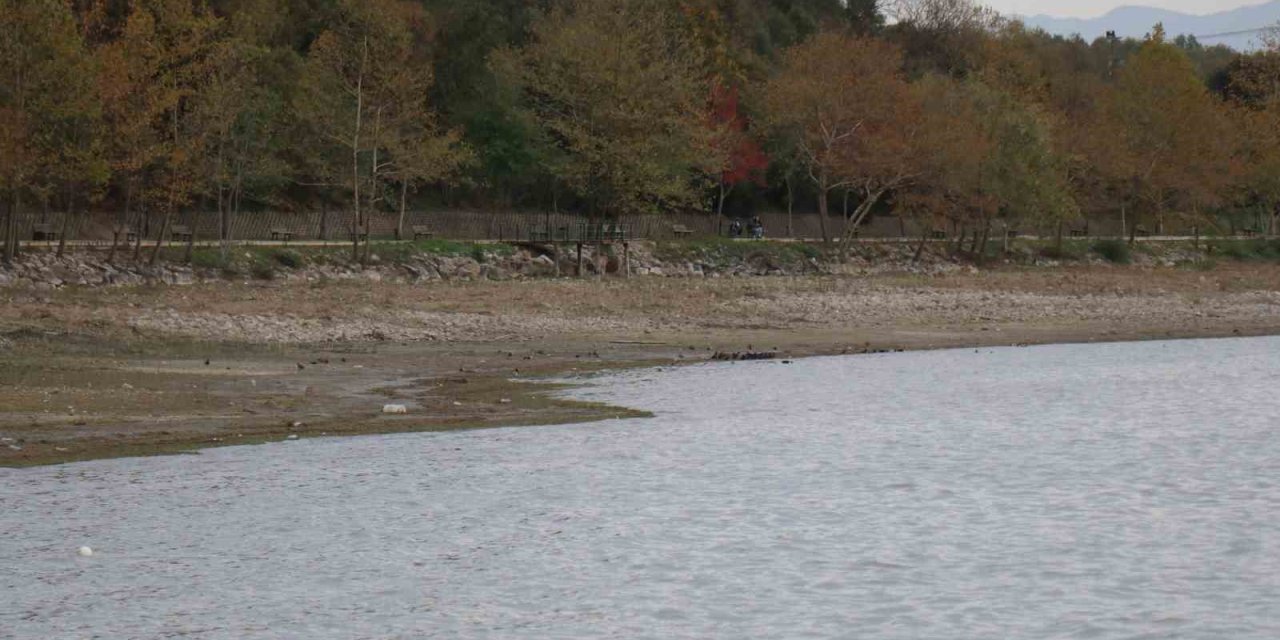 Sapanca Gölü’nde Esrarengiz Görüntü Dikkat Çekiyor