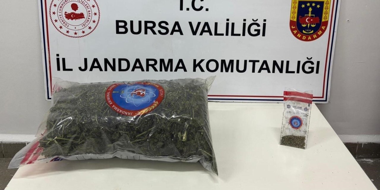 4,2 Kilogram Esrar Ele Geçirildi