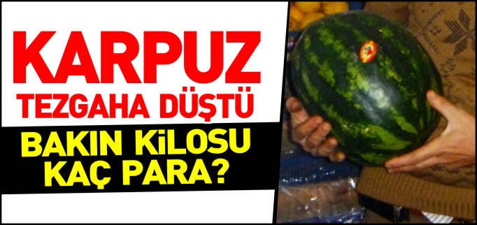 BİLECİK’TE İRAN KARPUZU KİLOSU 3 LİRADAN TEZGAHA ÇIKTI