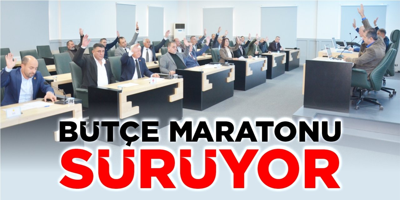 Bütçe maratonu sürüyor