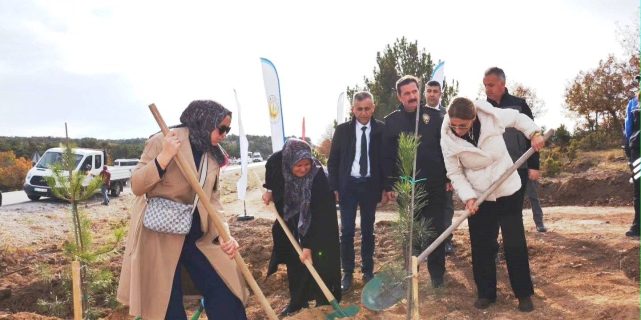 Şehitler İçin 350 Fidan Toprakla Buluştu