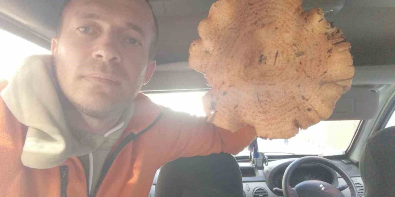 Dev Mantar Görenleri Şaşırttı