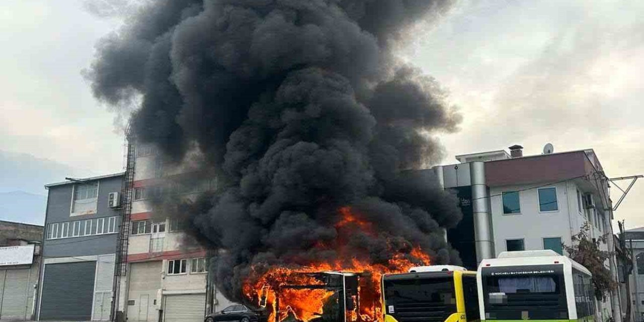 Park Halindeki Otobüsler Yandı