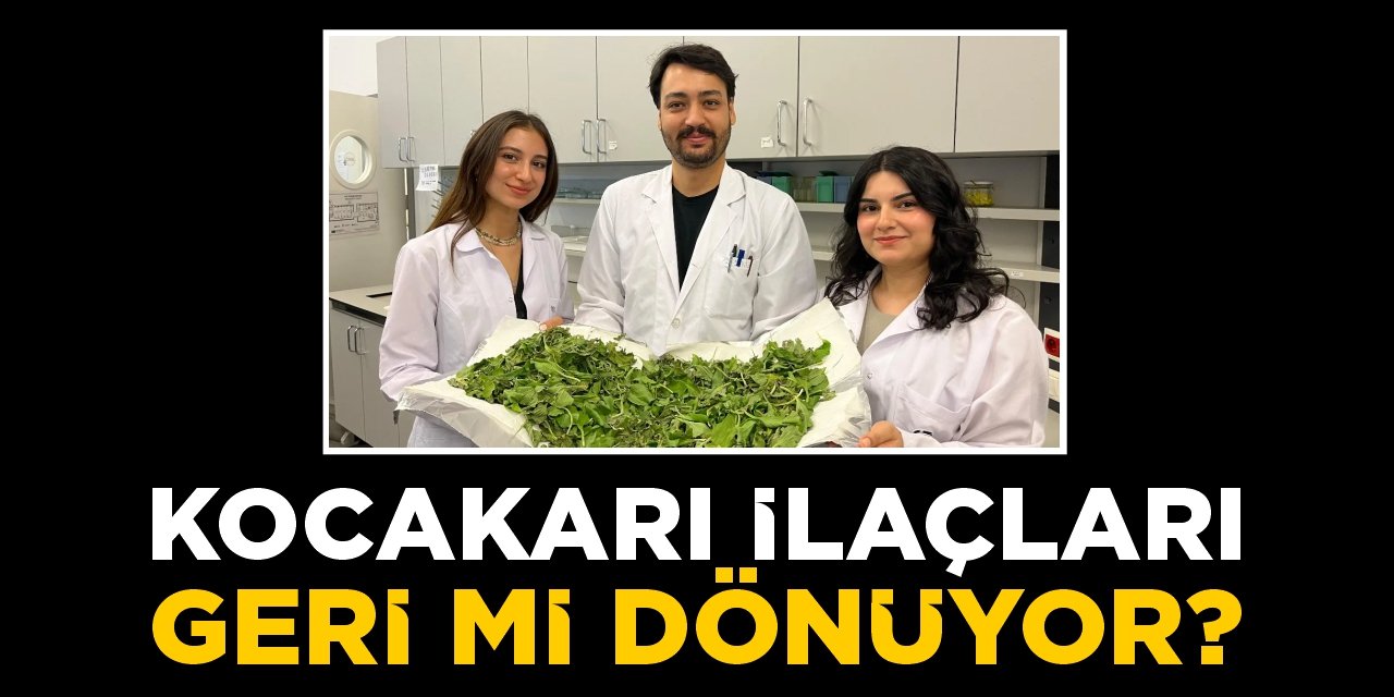 Kocakarı ilaçları geri mi dönüyor?