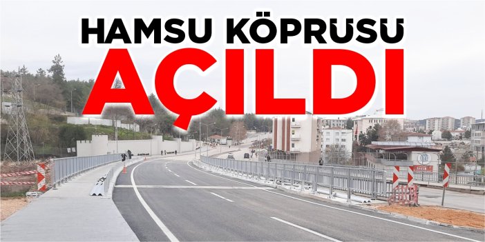 Hamsu Köprüsü açıldı
