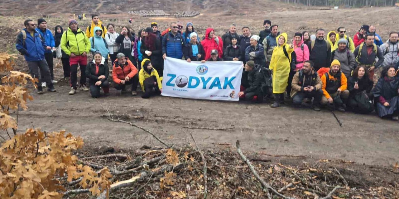 Yanan Ormanlık Alanlarda 450 Fidan Dikildi