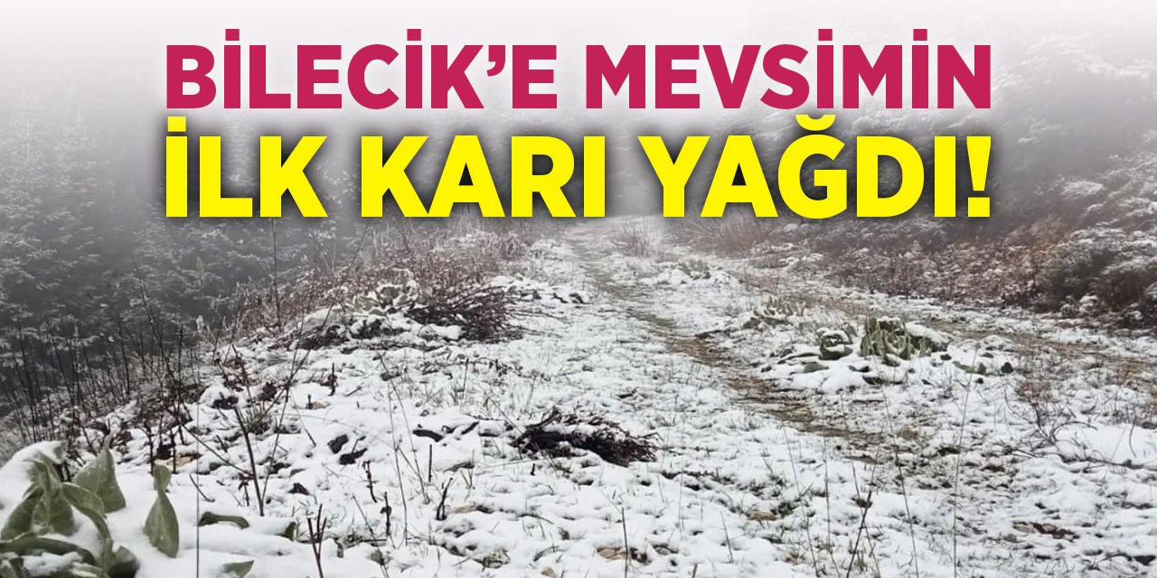 Bilecik'e Mevsimin İlk Karı Yağdı