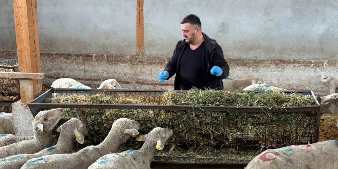Şap Mağduru Üreticiler Destek Bekliyor