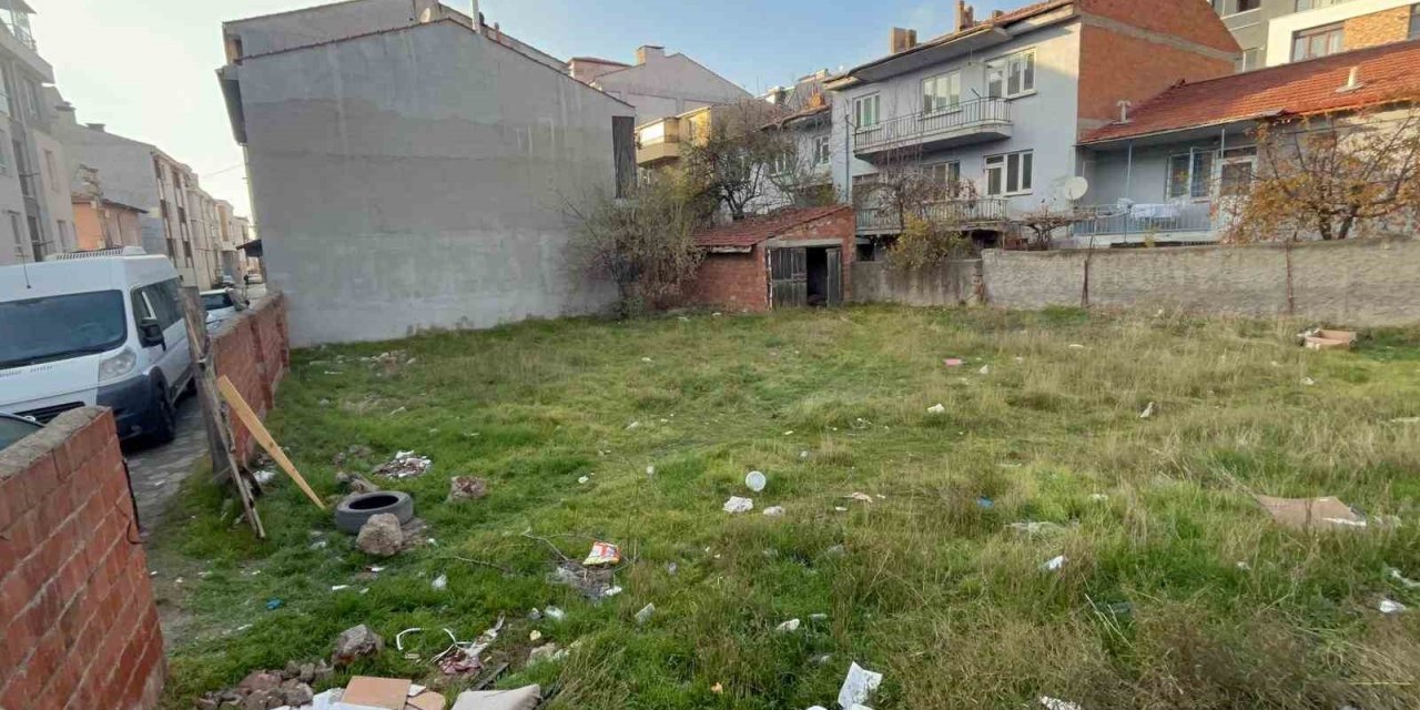 Boş Arsada 8 Ölü Kedi Bulundu