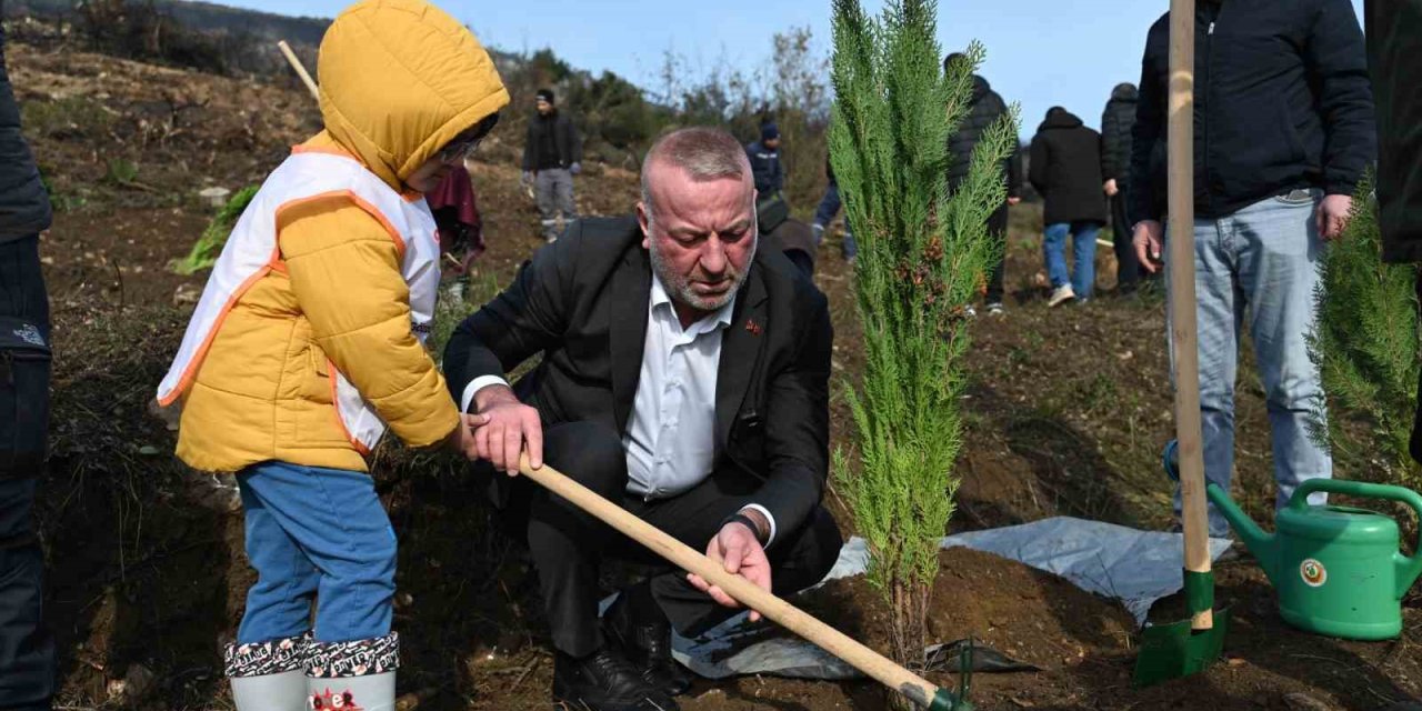 Yangın Sonrası İlk Fidanlar Toprakla Buluştu