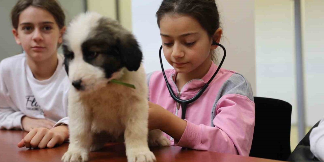 Miniklere Hayvan Sevgisi Aşılanıyor