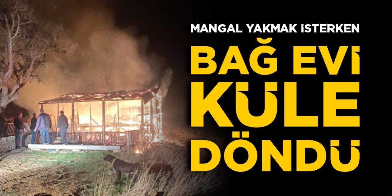 Mangal yakmak isterken bağ evi kül oldu