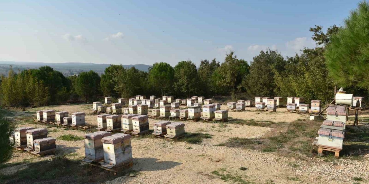 Yılda 10 Ton Üretiliyor, 100 Ton Sahtesi Satılıyor