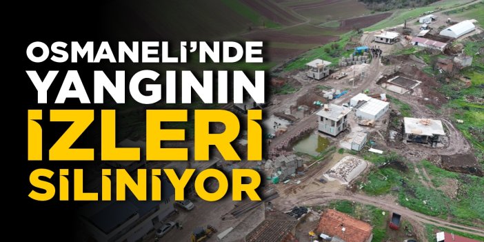 Osmaneli'nde yangının izleri siliniyor