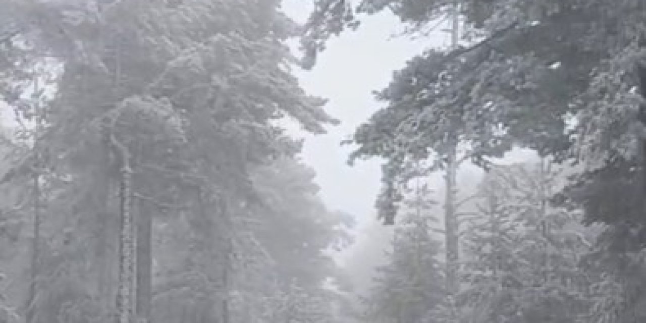 Mevsimin İlk Karı Yağdı