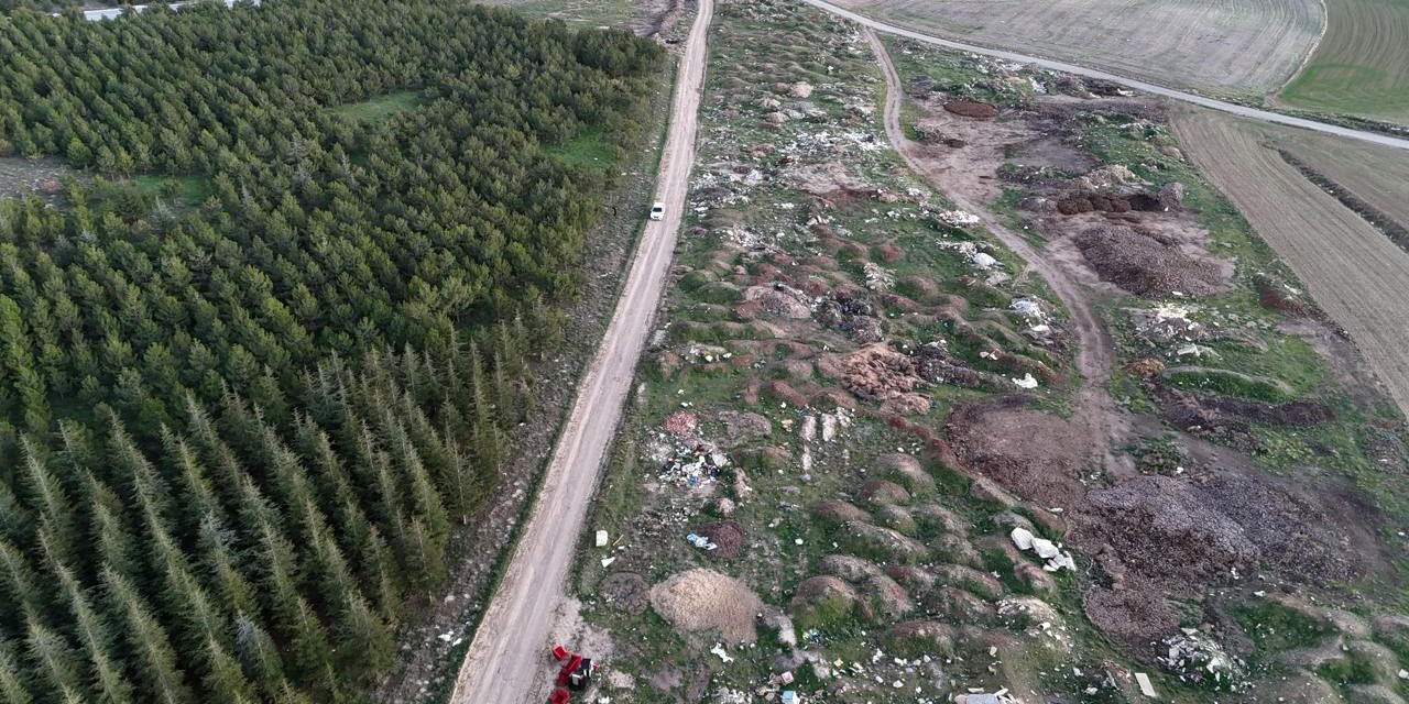 Tezat Görüntü: Bir Yanda Yeşil Ağaçlar, Bir Yanda Çöp Yığınları