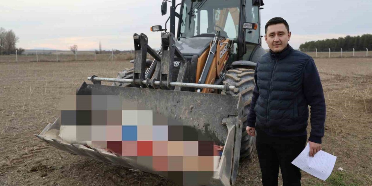 215 Kilogram Kaçak At Eti Ele Geçirildi