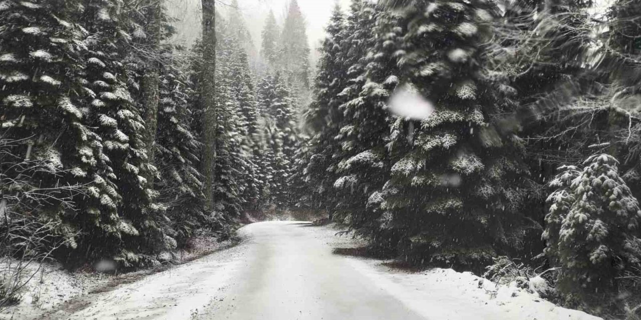 Çiğdem Yaylasına Kar Yağdı