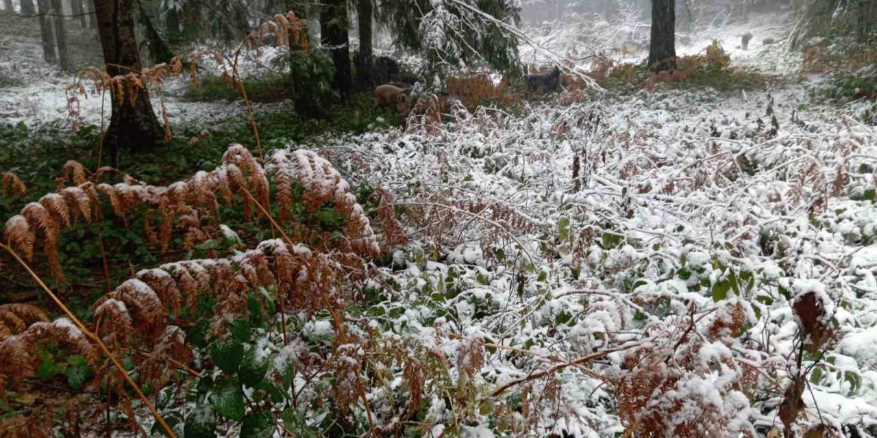 Yüksek Kesimler Beyaz Örtüyle Kaplandı