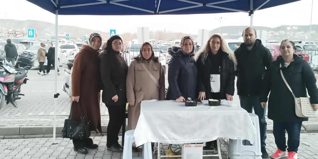 AK Parti Bozüyük'te Üye Çalışmaları