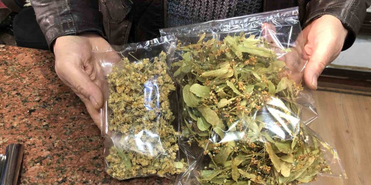 Bu Yıl Ihlamur Değer Kazandı