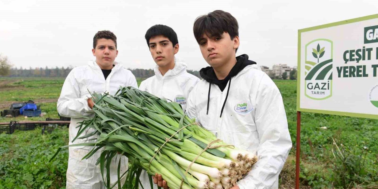 Pırasa Hasadıyla Doğallık Sofralara Taşınıyor