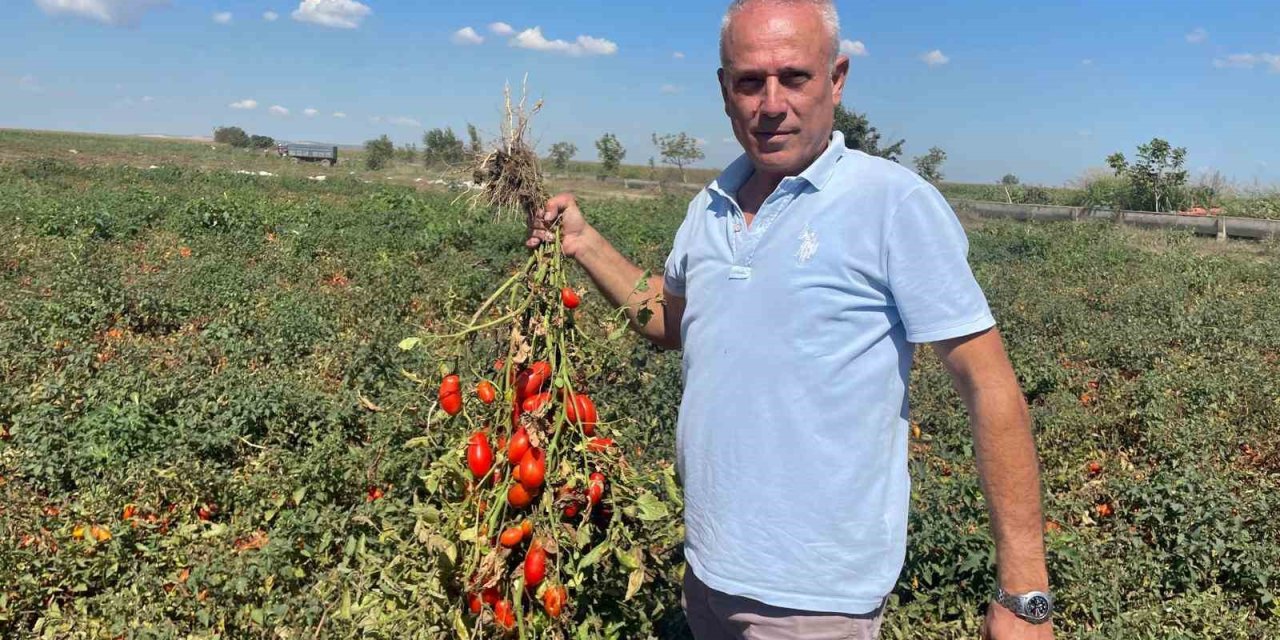 Dedesi Seçimde Muhtar Oldu Adına "Seçim" Konuldu