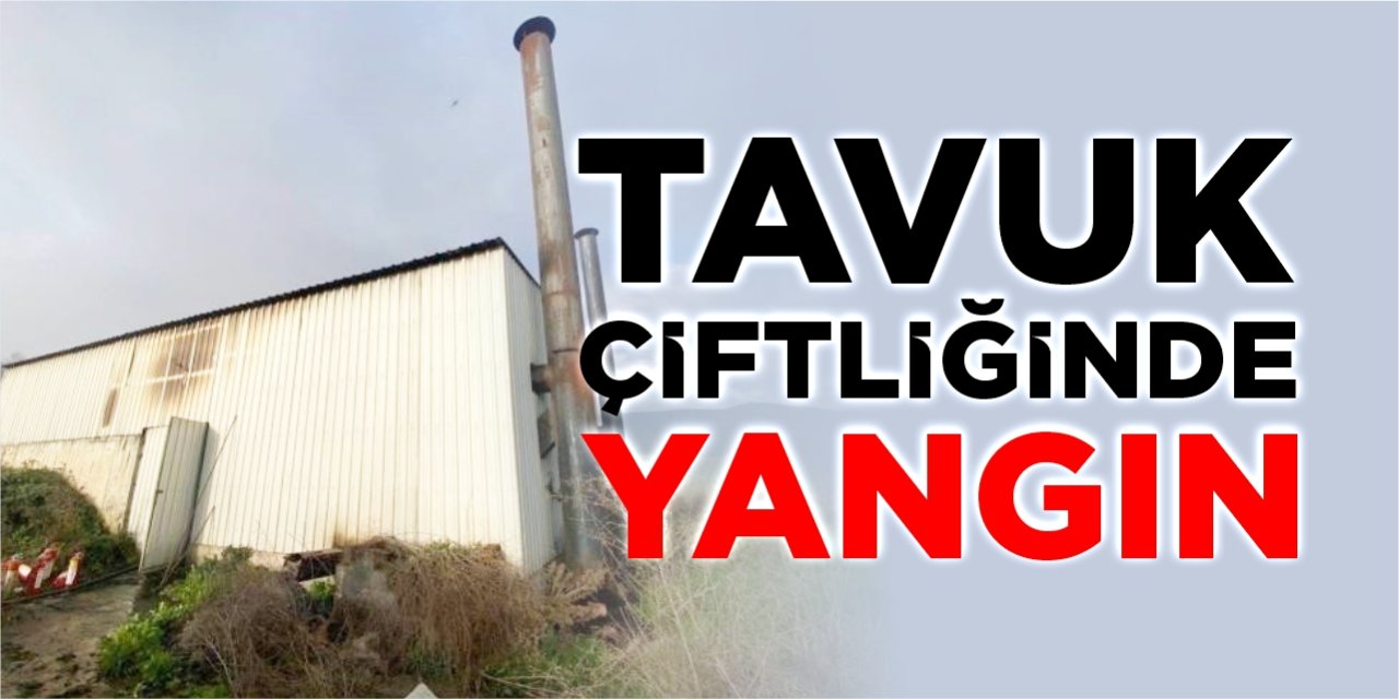 Tavuk çiftliğinde çıkan yangın korkuttu
