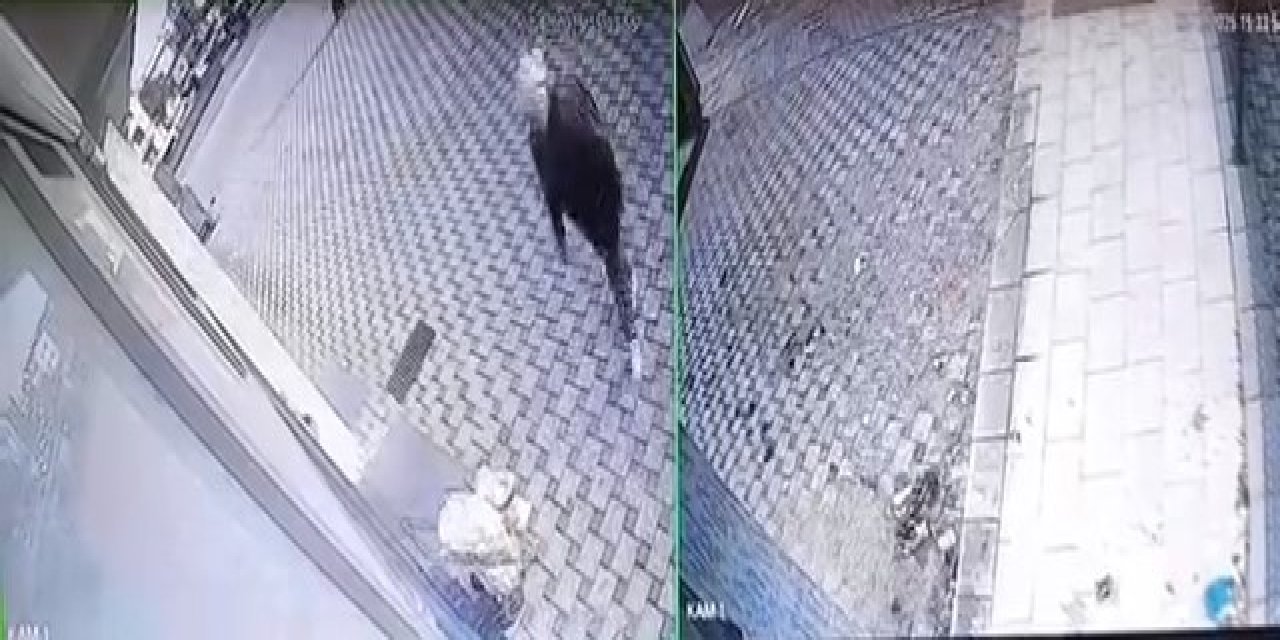 Pazar Arabasını Çaldı!