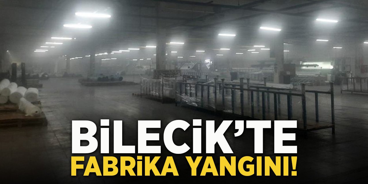 Bilecik’te Fabrika Yangını!
