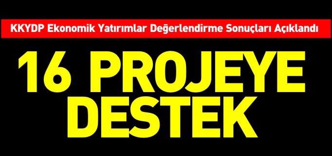 16 PROJEYE DESTEK ÇIKTI