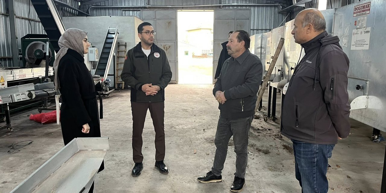Kaymakam Kılıç Ceviz işleme Kurutma Tesisini Ziyaret Etti